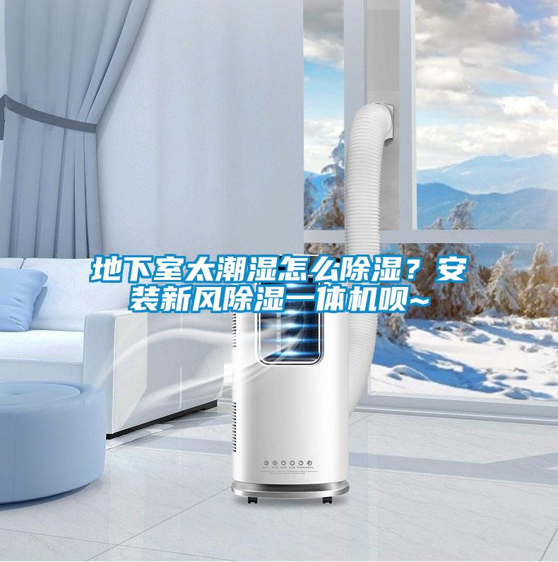地下室太潮濕怎么除濕？安裝新風(fēng)除濕一體機唄~