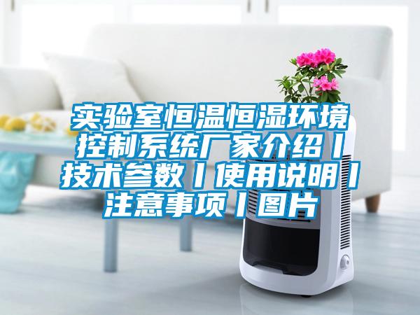 實(shí)驗室恒溫恒濕環(huán)境控制系統廠(chǎng)家介紹丨技術(shù)參數丨使用說(shuō)明丨注意事項丨圖片