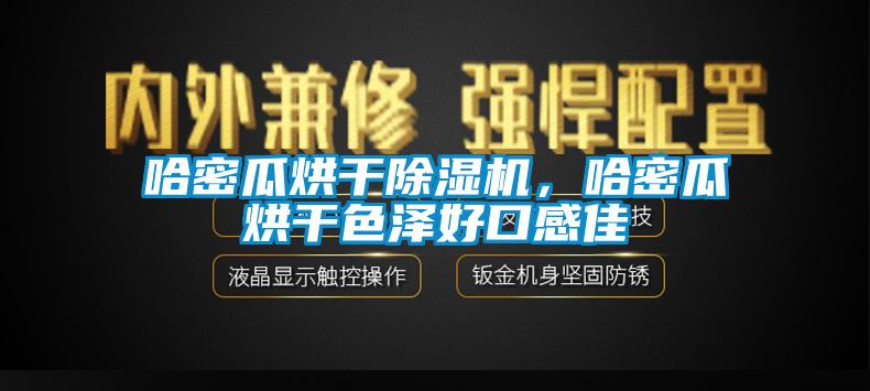 哈密瓜烘干除濕機，哈密瓜烘干色澤好口感佳