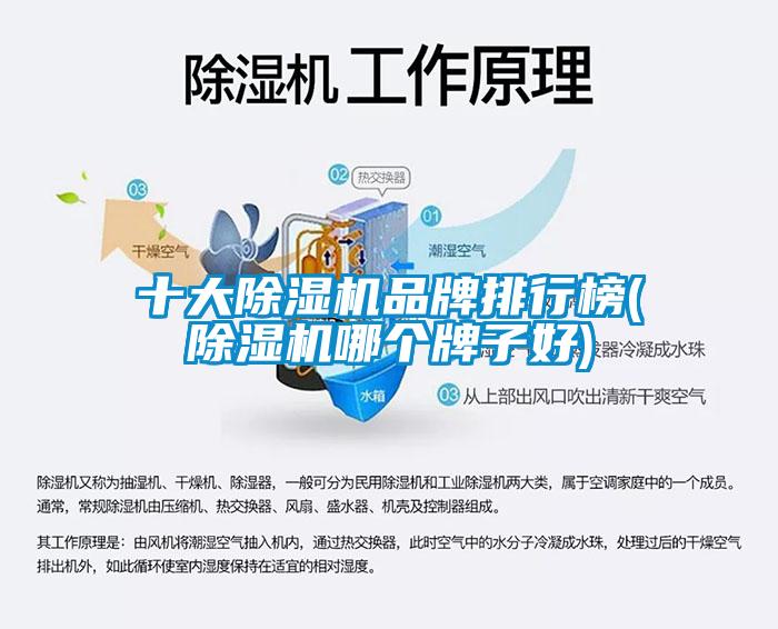 十大除濕機品牌排行榜(除濕機哪個(gè)牌子好)