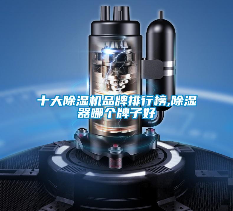 十大除濕機品牌排行榜,除濕器哪個(gè)牌子好