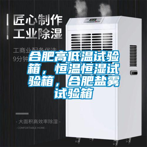 合肥高低溫試驗箱，恒溫恒濕試驗箱，合肥鹽霧試驗箱