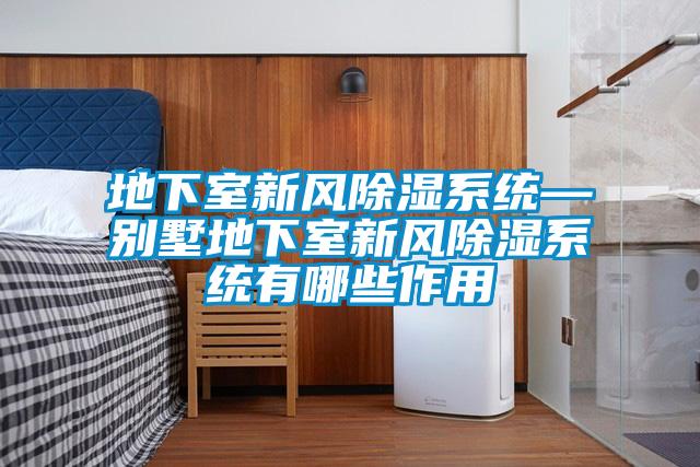 地下室新風(fēng)除濕系統—別墅地下室新風(fēng)除濕系統有哪些作用