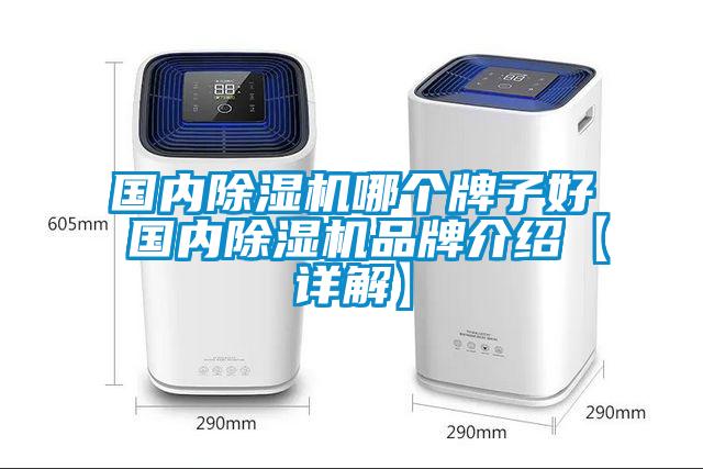 國內除濕機哪個(gè)牌子好 國內除濕機品牌介紹【詳解】