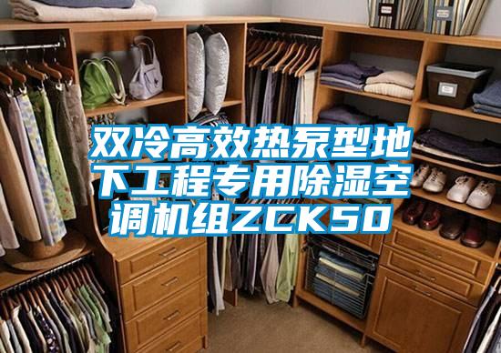 雙冷高效熱泵型地下工程專(zhuān)用除濕空調機組ZCK50