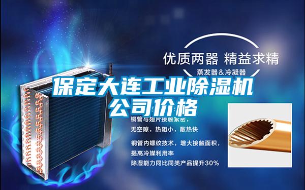 保定大連工業(yè)除濕機公司價(jià)格