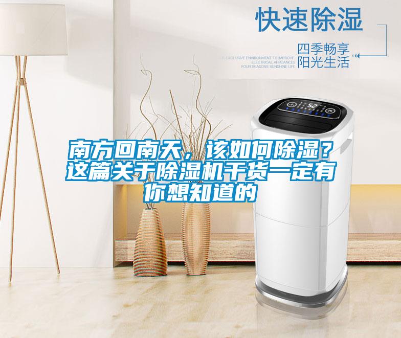 南方回南天，該如何除濕？這篇關(guān)于除濕機干貨一定有你想知道的