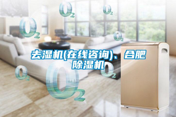 去濕機(在線(xiàn)咨詢(xún))、合肥除濕機