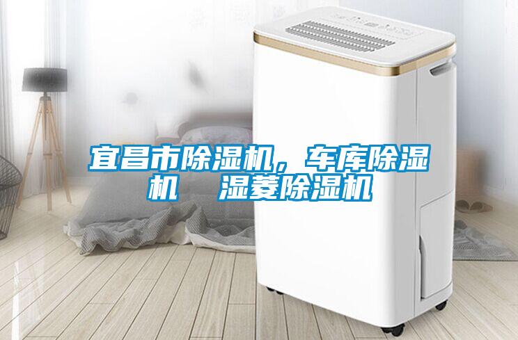 宜昌市除濕機，車(chē)庫除濕機  濕菱除濕機