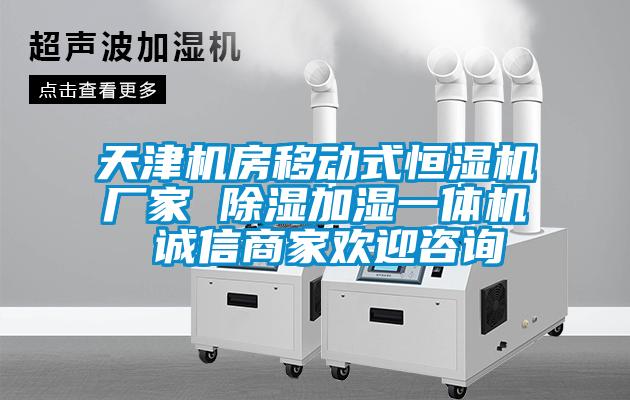 天津機房移動(dòng)式恒濕機廠(chǎng)家 除濕加濕一體機 誠信商家歡迎咨詢(xún)