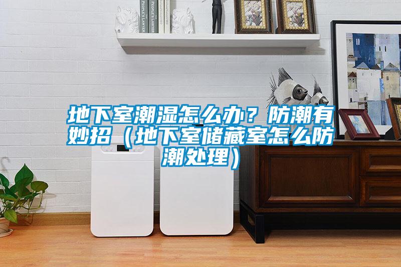地下室潮濕怎么辦？防潮有妙招（地下室儲藏室怎么防潮處理）
