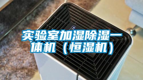 實(shí)驗室加濕除濕一體機（恒濕機）