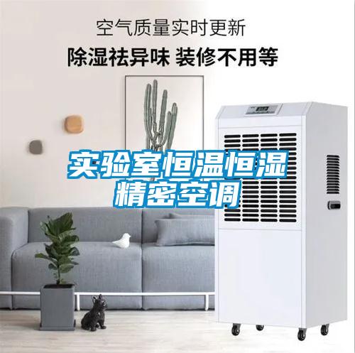 實(shí)驗室恒溫恒濕精密空調