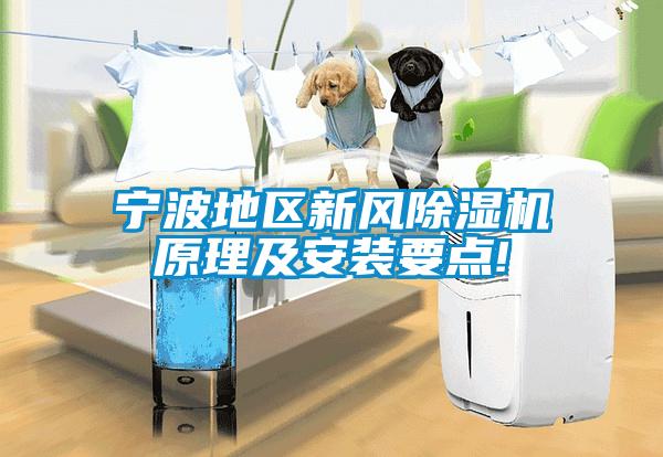 寧波地區新風(fēng)除濕機原理及安裝要點(diǎn)!