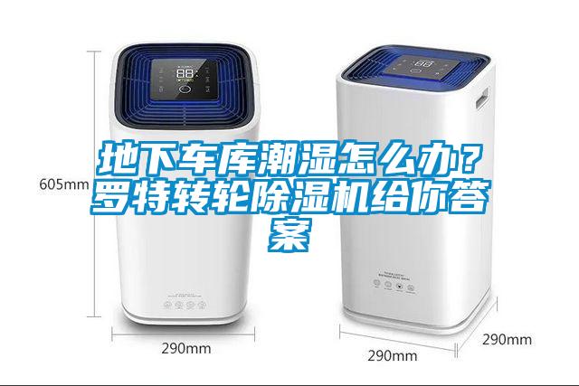 地下車(chē)庫潮濕怎么辦？羅特轉輪除濕機給你答案