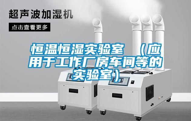 恒溫恒濕實(shí)驗室 （應用于工作廠(chǎng)房車(chē)間等的實(shí)驗室）