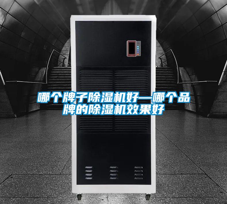 哪個(gè)牌子除濕機好—哪個(gè)品牌的除濕機效果好