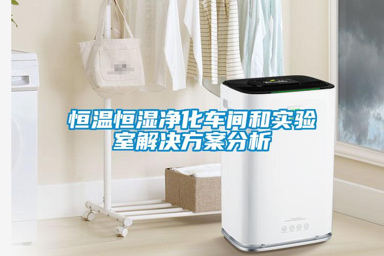 恒溫恒濕凈化車(chē)間和實(shí)驗室解決方案分析