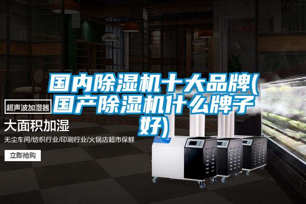 國內除濕機十大品牌(國產(chǎn)除濕機什么牌子好)