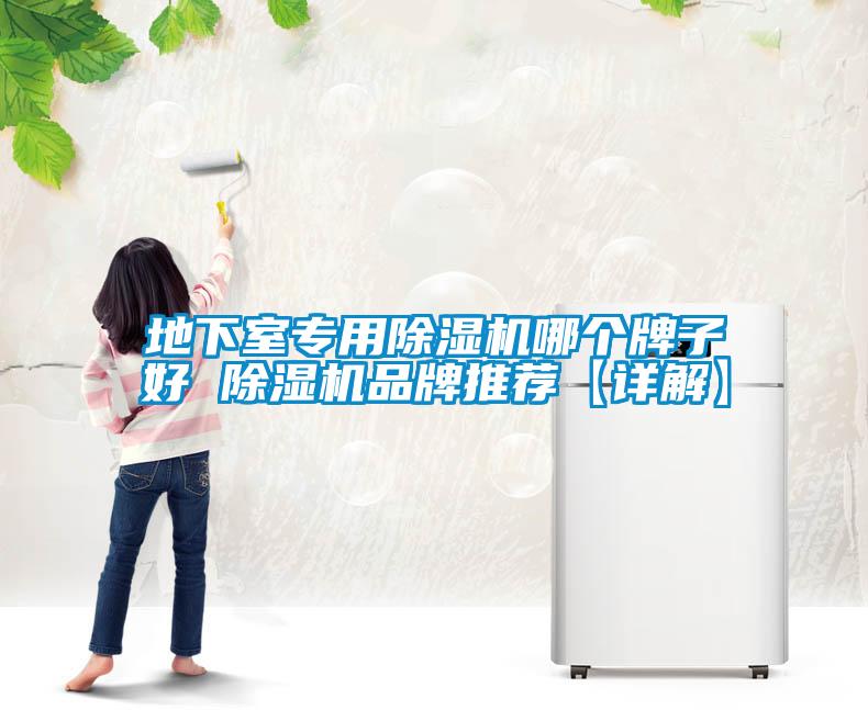 地下室專(zhuān)用除濕機哪個(gè)牌子好 除濕機品牌推薦【詳解】
