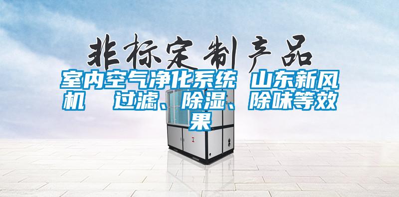 室內空氣凈化系統 山東新風(fēng)機  過(guò)濾、除濕、除味等效果