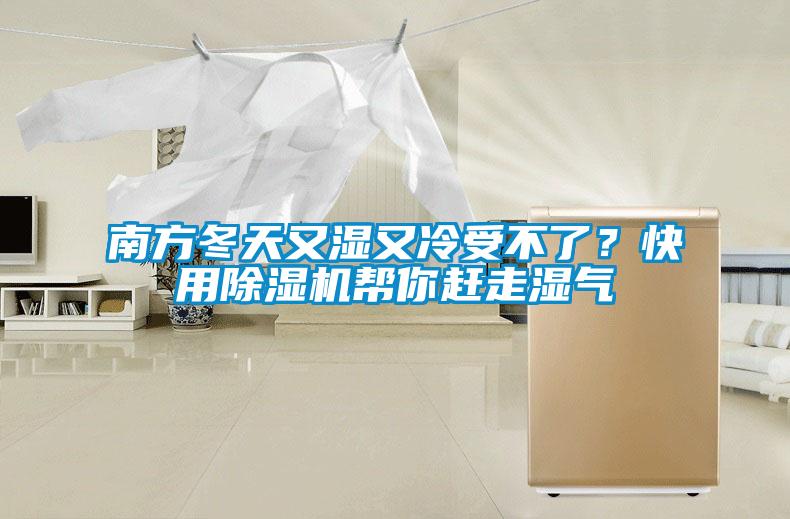 南方冬天又濕又冷受不了？快用除濕機幫你趕走濕氣
