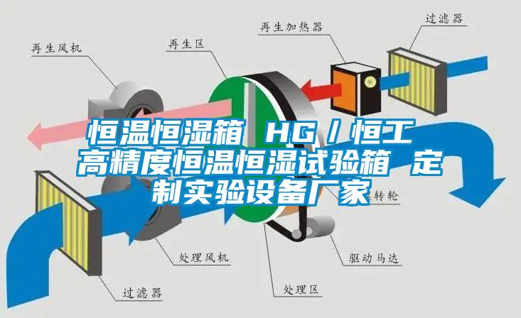 恒溫恒濕箱 HG／恒工 高精度恒溫恒濕試驗箱 定制實(shí)驗設備廠(chǎng)家