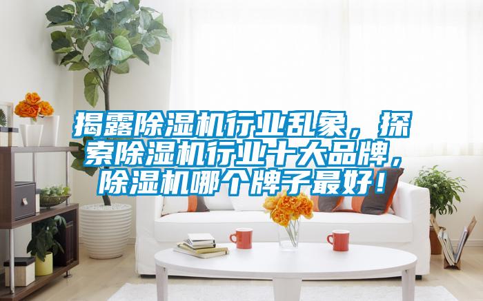 揭露除濕機行業(yè)亂象，探索除濕機行業(yè)十大品牌，除濕機哪個(gè)牌子最好！