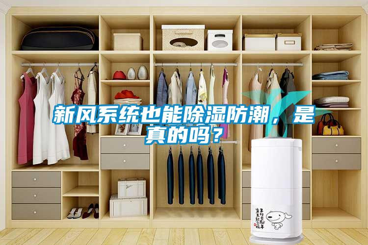 新風(fēng)系統也能除濕防潮，是真的嗎？