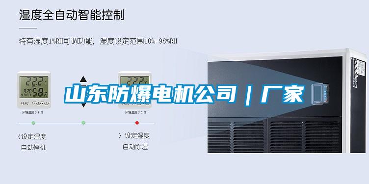山東防爆電機公司｜廠(chǎng)家