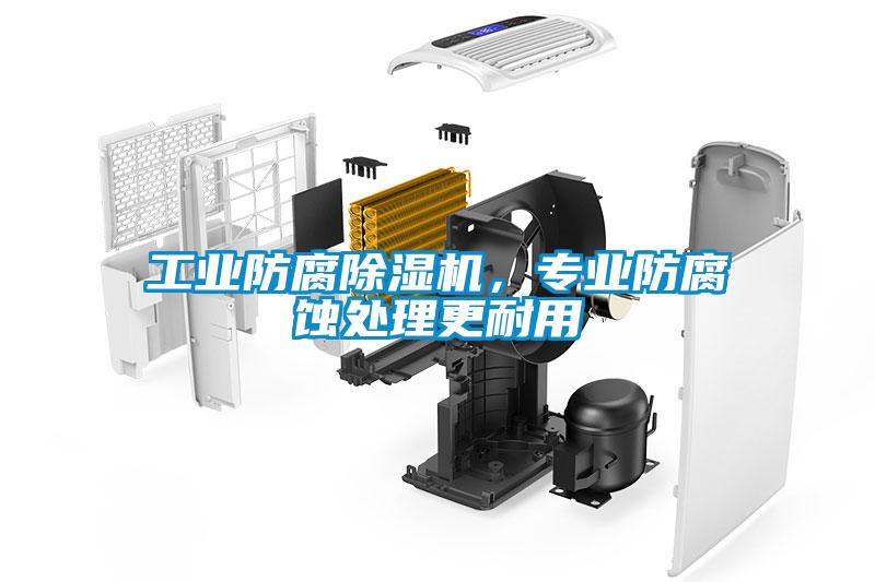 工業(yè)防腐除濕機，專(zhuān)業(yè)防腐蝕處理更耐用