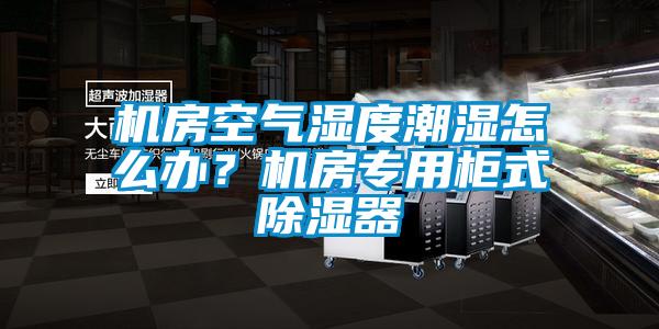 機房空氣濕度潮濕怎么辦？機房專(zhuān)用柜式除濕器
