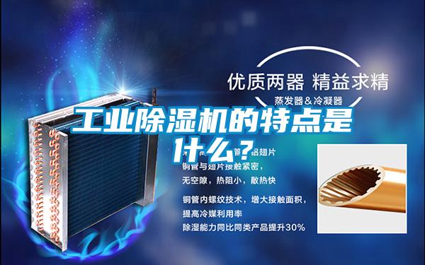 工業(yè)除濕機的特點(diǎn)是什么？