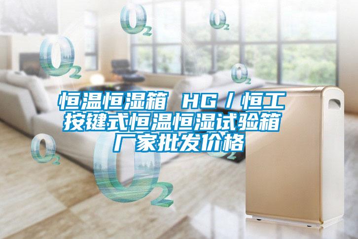 恒溫恒濕箱 HG／恒工 按鍵式恒溫恒濕試驗箱 廠(chǎng)家批發(fā)價(jià)格