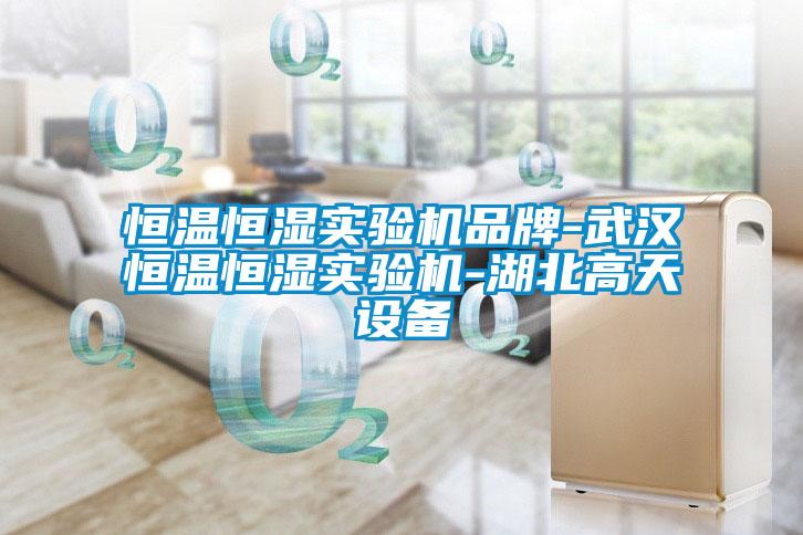 恒溫恒濕實(shí)驗機品牌-武漢恒溫恒濕實(shí)驗機-湖北高天設備