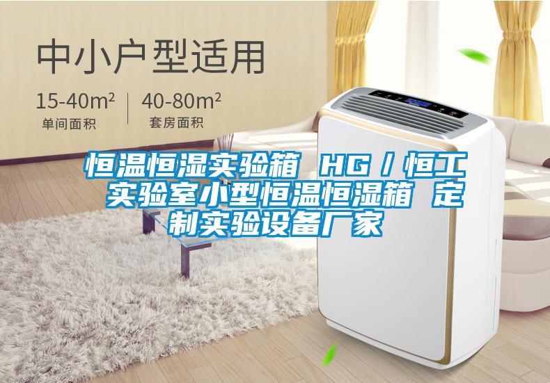 恒溫恒濕實(shí)驗箱 HG／恒工 實(shí)驗室小型恒溫恒濕箱 定制實(shí)驗設備廠(chǎng)家