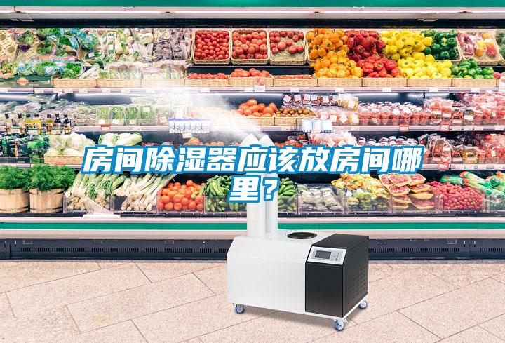 房間除濕器應該放房間哪里？