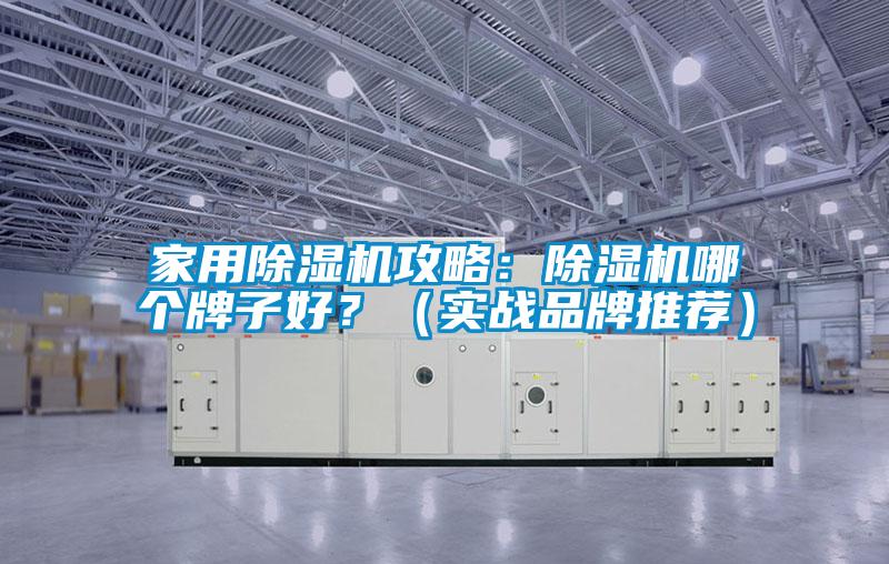 家用除濕機攻略：除濕機哪個(gè)牌子好？（實(shí)戰品牌推薦）