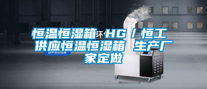 恒溫恒濕箱 HG／恒工 供應恒溫恒濕箱 生產(chǎn)廠(chǎng)家定做