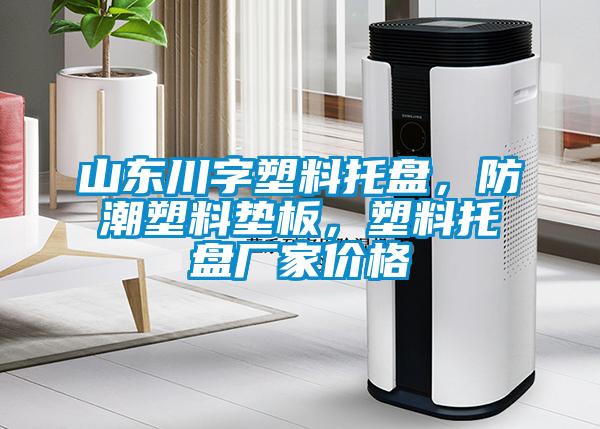 山東川字塑料托盤(pán)，防潮塑料墊板，塑料托盤(pán)廠(chǎng)家價(jià)格