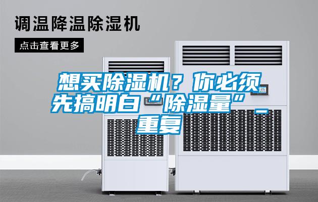 想買(mǎi)除濕機？你必須先搞明白“除濕量”_重復
