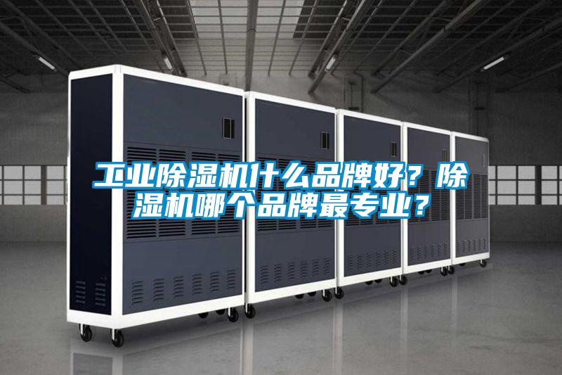 工業(yè)除濕機什么品牌好？除濕機哪個(gè)品牌最專(zhuān)業(yè)？