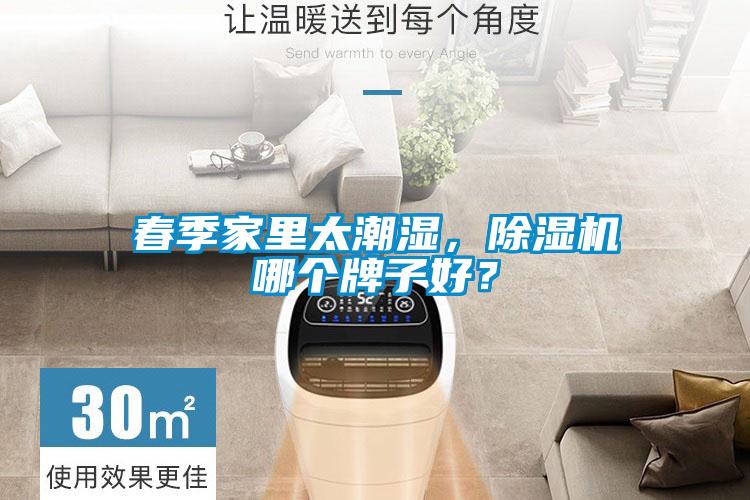 春季家里太潮濕，除濕機哪個(gè)牌子好？