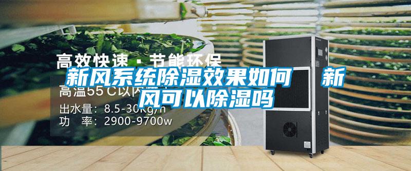新風(fēng)系統除濕效果如何  新風(fēng)可以除濕嗎