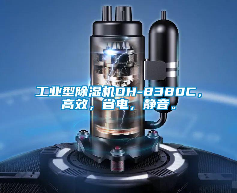 工業(yè)型除濕機DH-8380C，高效，省電，靜音。