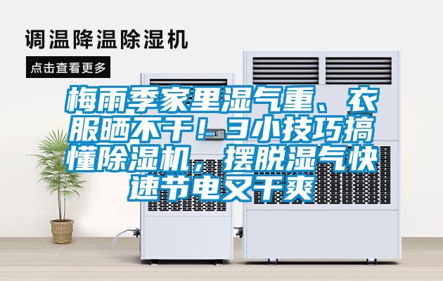 梅雨季家里濕氣重、衣服曬不干！3小技巧搞懂除濕機，擺脫濕氣快速節電又干爽