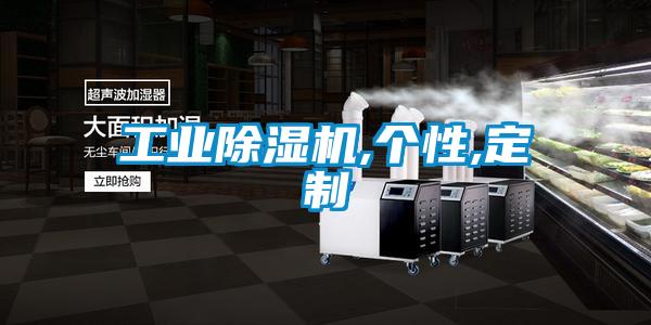 工業(yè)除濕機,個(gè)性,定制