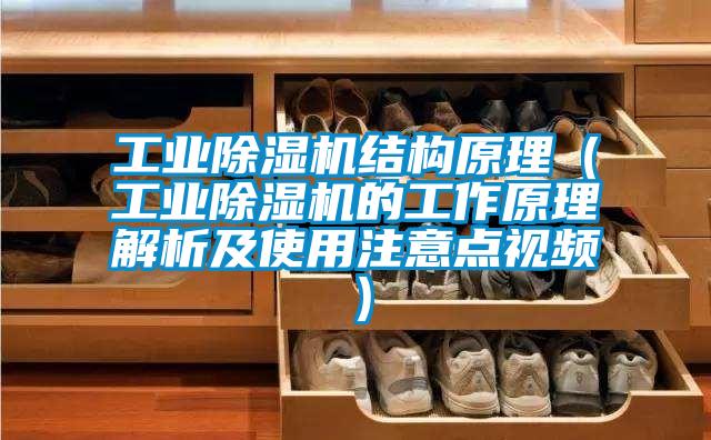 工業(yè)除濕機結構原理（工業(yè)除濕機的工作原理解析及使用注意點(diǎn)視頻）