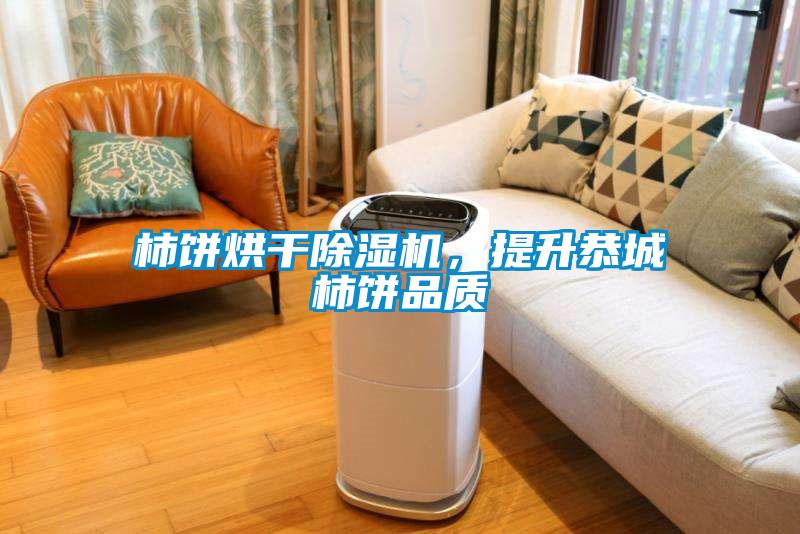 柿餅烘干除濕機，提升恭城柿餅品質(zhì)
