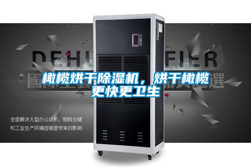 橄欖烘干除濕機，烘干橄欖更快更衛生